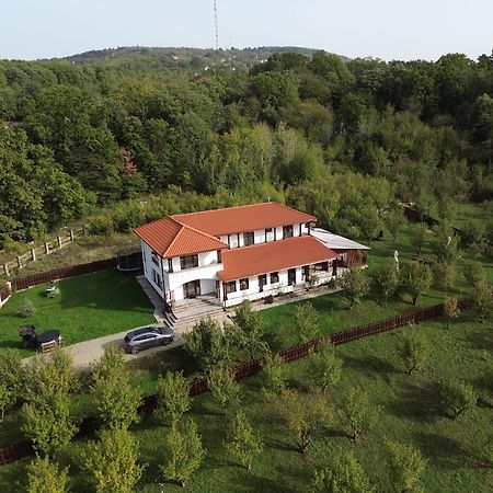 Pensiunea Emelys, Iasi Barnova Eksteriør bilde